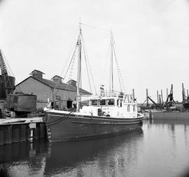 "Felice" in dry dock